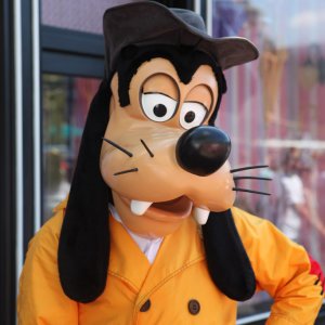 Goofy