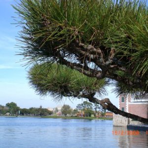 72
ein blick über den epcot see