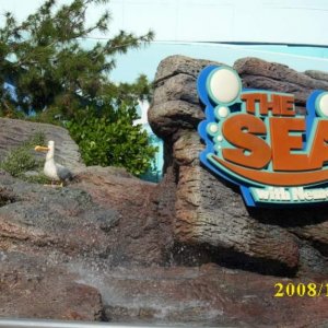 The Seas / Epcot