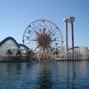 DCA 2006