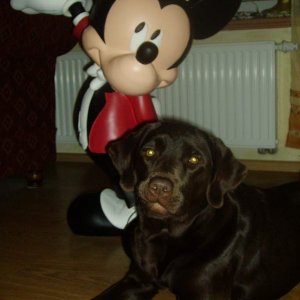 Cookie and me 005