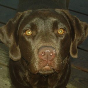 Cookie and me 026