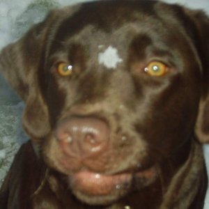 Cookie and me 075