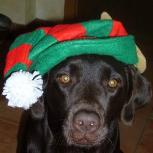 Cookie and me 055