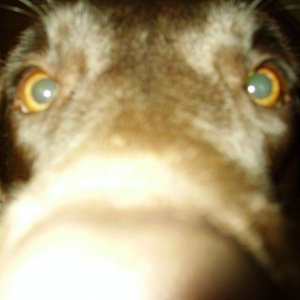 Cookie and me 048