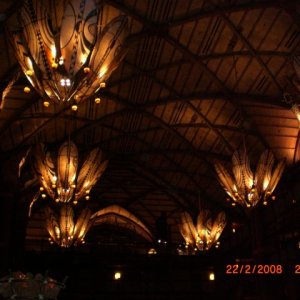 100
ak-lodge
eingangshalle/decke