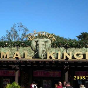 Eingang Animal Kingdom