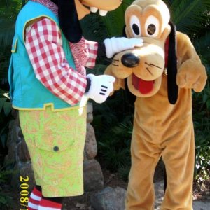 Goofy und Pluto im Animal Kingdom