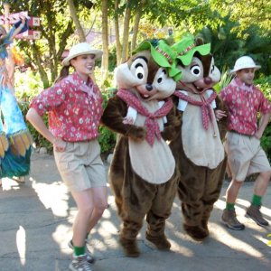 Parade Animal Kingdom