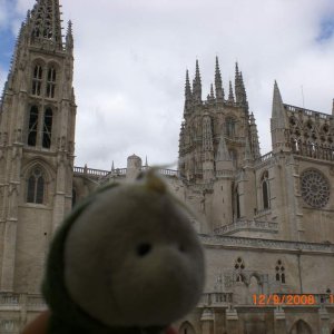 12
burgos
immer mit dabei, mein kleiner wurm, den meine mama mir als kleinen schutzengel mit gegeben hat ;-)