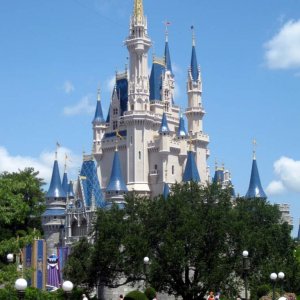Florida 2009 158