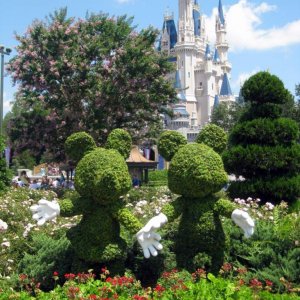 Florida 2009 161