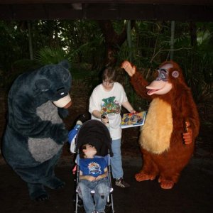 Baloo