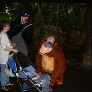Baloo, King Louie, der schlafende Benny und ich.