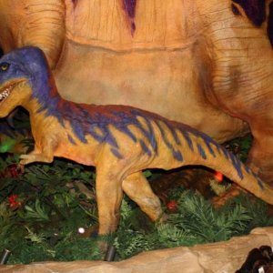 Dino