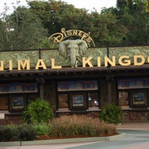 Animal1