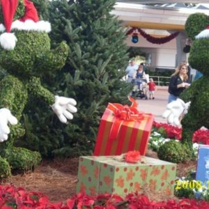 Weihnachtsdeko Epcot