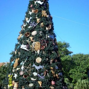 Weihnactsbaum Animal Kingdom
