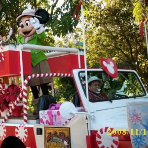 Weihnachtsparade Animal Kingdom