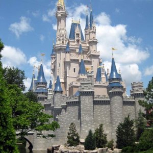 Florida 2009 168