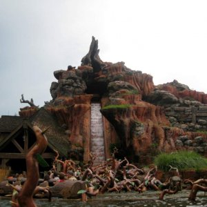 Florida 2009 244