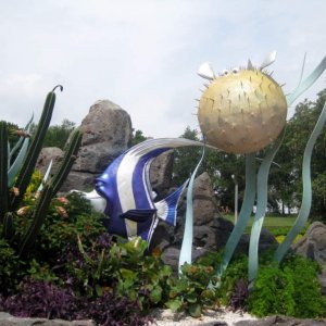 Florida 2009 338