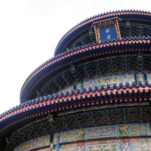 Florida 2009 380