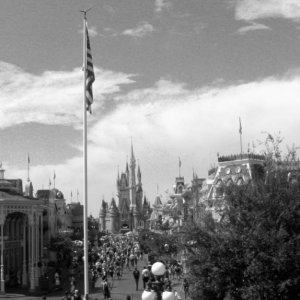 Florida 2009 289