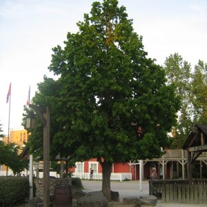 Hotel Cheyenne 04