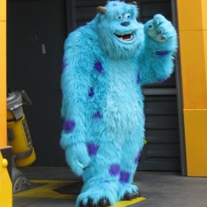 Walt Disney Studios 53