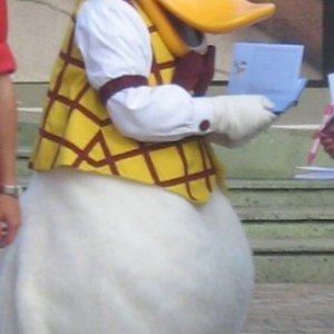Walt Disney Studios 76