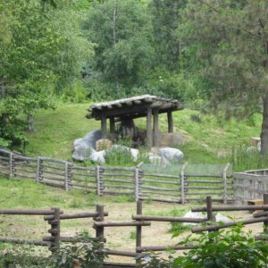 Frontierland 29