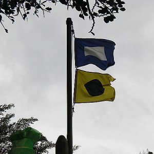 Die Fahnen am Baumhaus!