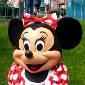 mini disneyland1