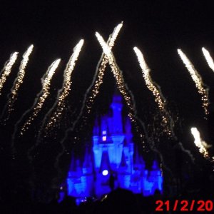 wdw 2010