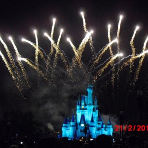 wdw 2010 wishes