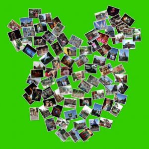 Collage in unserem Wohnzimmer
