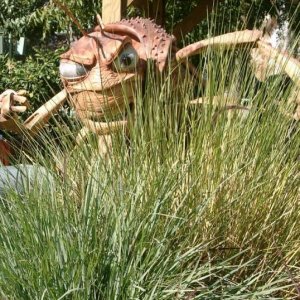 Beitrag 3 - ansoflo2007