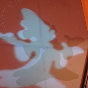 dISNEYLAND 317