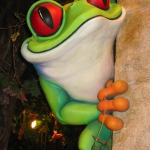 frosch