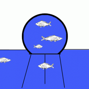 Fischfernseher_Funktion
