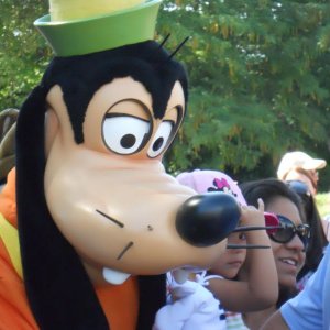 Goofy beim Autogrammschreiben