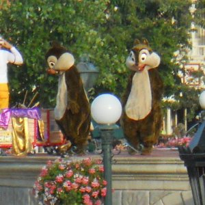 Chip&Chap beim grossen Auftritt