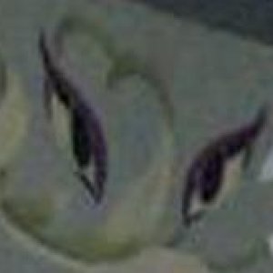 Wo fiondet ihr dies?