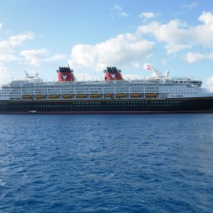 Disney Magic