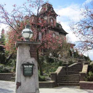 dISNEYLAND 493
