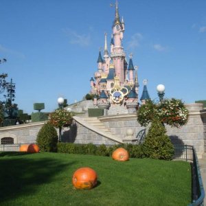 DLP Halloween 2009