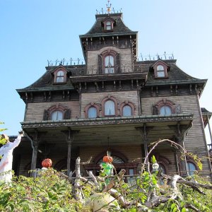 IMG 0230