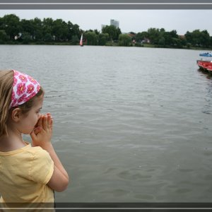 comp IMG 4442