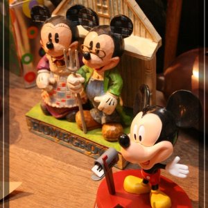 comp IMG 4427